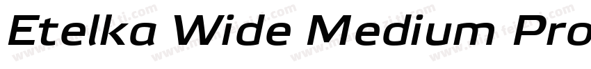 Etelka Wide Medium Pro Bold Italic字体转换